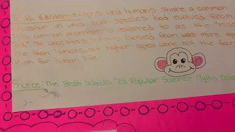 Science Misconceptions