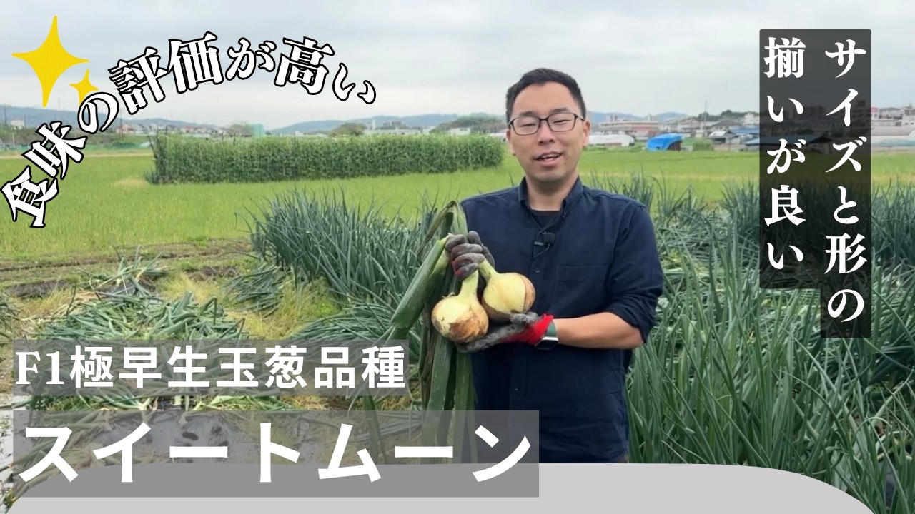高田種苗オンライン / 極早生品種 スイートムーン