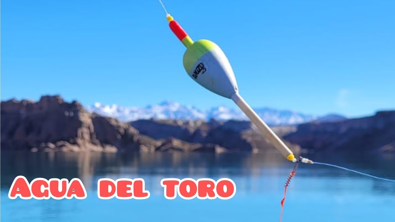 Peces de excelente tamaño en este lugar fantástico