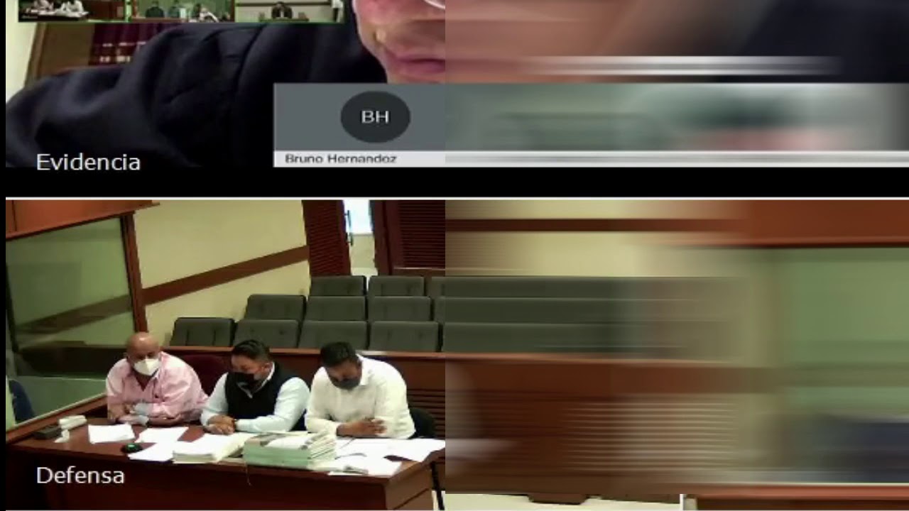 INTERROGATORIO A PERITO DATOS CONSERVADOS