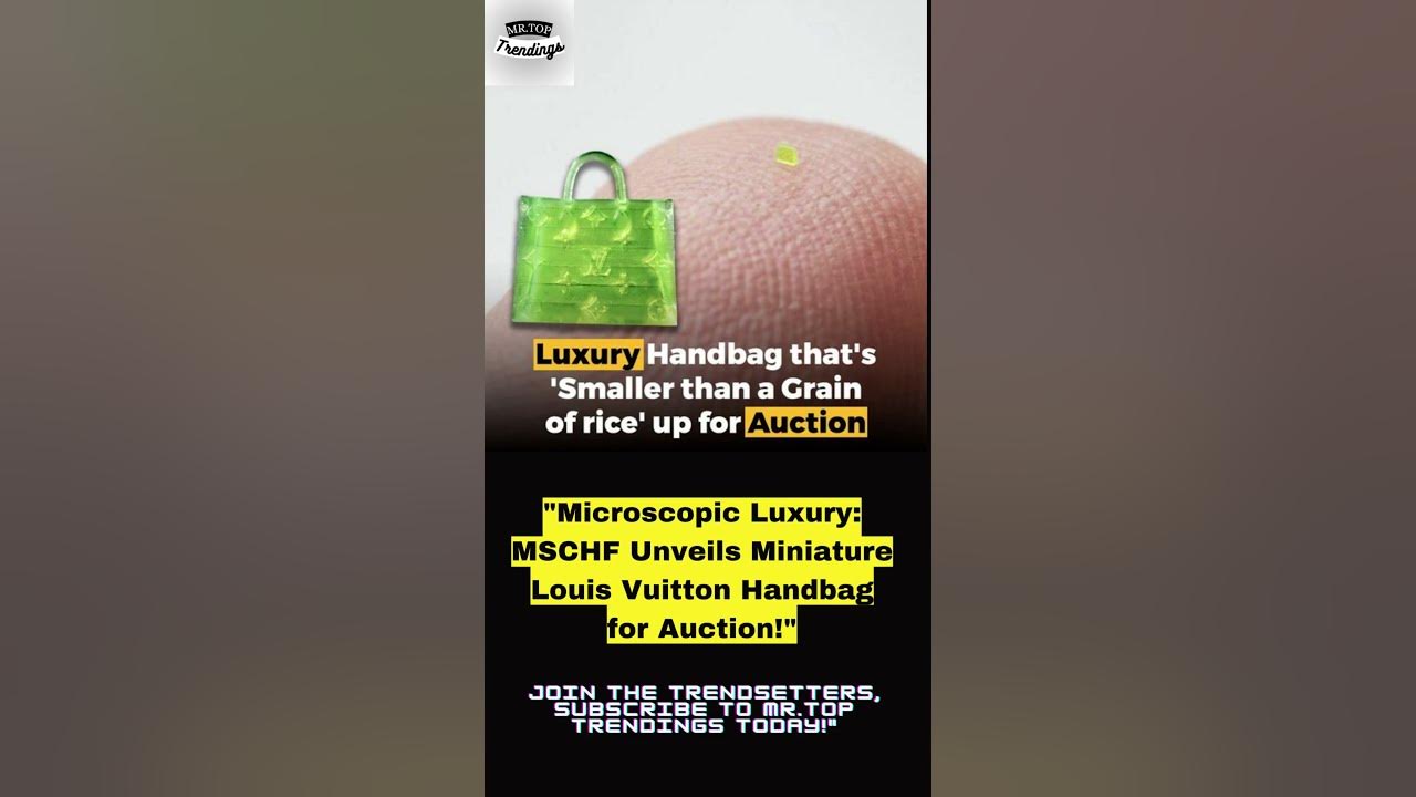 Microscopic' Louis Vuitton-style handbag sells for over $63K: 'Smaller than  a grain of salt