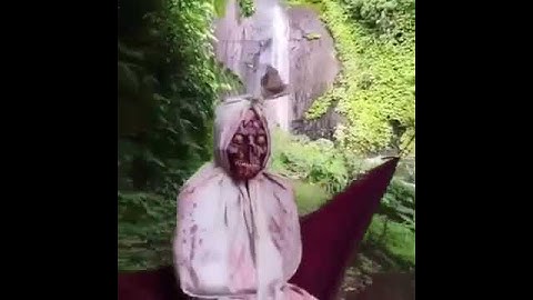 Ma Khóc Đu Cây Kinh Dị