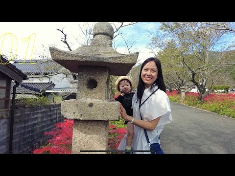 Video Ngắm hoa bỉ ngạn, tàu lửa, xe máy, xe ô tô, máy móc... - youtube