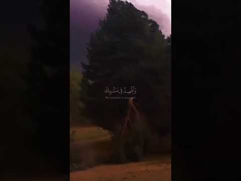 اكسبلور قرآن قران كريم اسلام 2025 اللهم صل وسلم على نبينا محمد