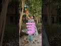 एक छोटी सी पहल बेजुबानों के लिए ||ytshorts #prinda #birdtrend #youtubeshorts