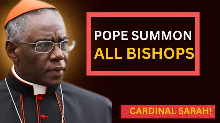 Pope’s Emergency Message Stuns the Bishops — Cardinal Sarah Drops a Shocking Warning