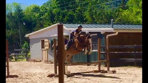 Starting Your Green or Crossover Horse Under Saddle with Positive Reinforcement... see description.