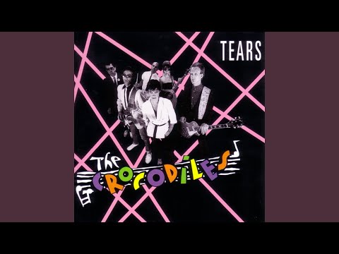The Crocodiles — All Night Long