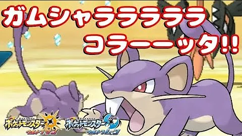ポケモン 我武者羅