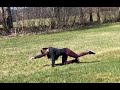 Kleines Outdoor Workout mit Sabrina - Teil 2