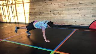 Contralateral Plank Hold