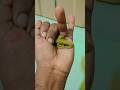 Anaya apni family se bahut pyar #youtubeshorts #funny #comedy #trending #shorts #anaya