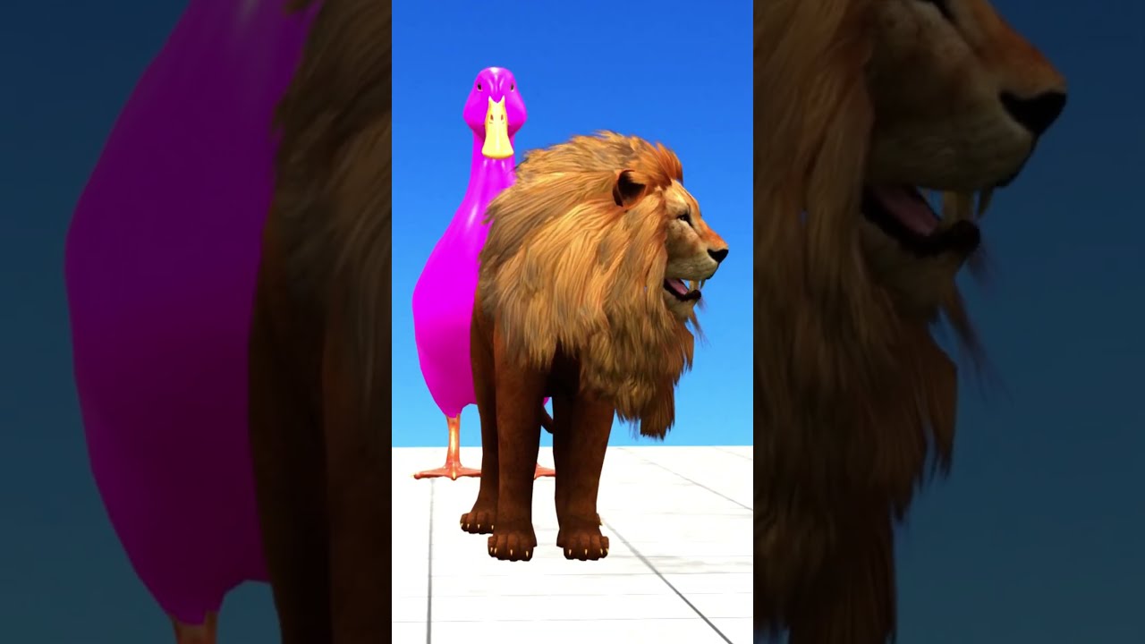  Longslidegame Lion Animalscrossing Funny3danimals Funny Cartoon Shorts