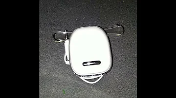 My Idog Clip 