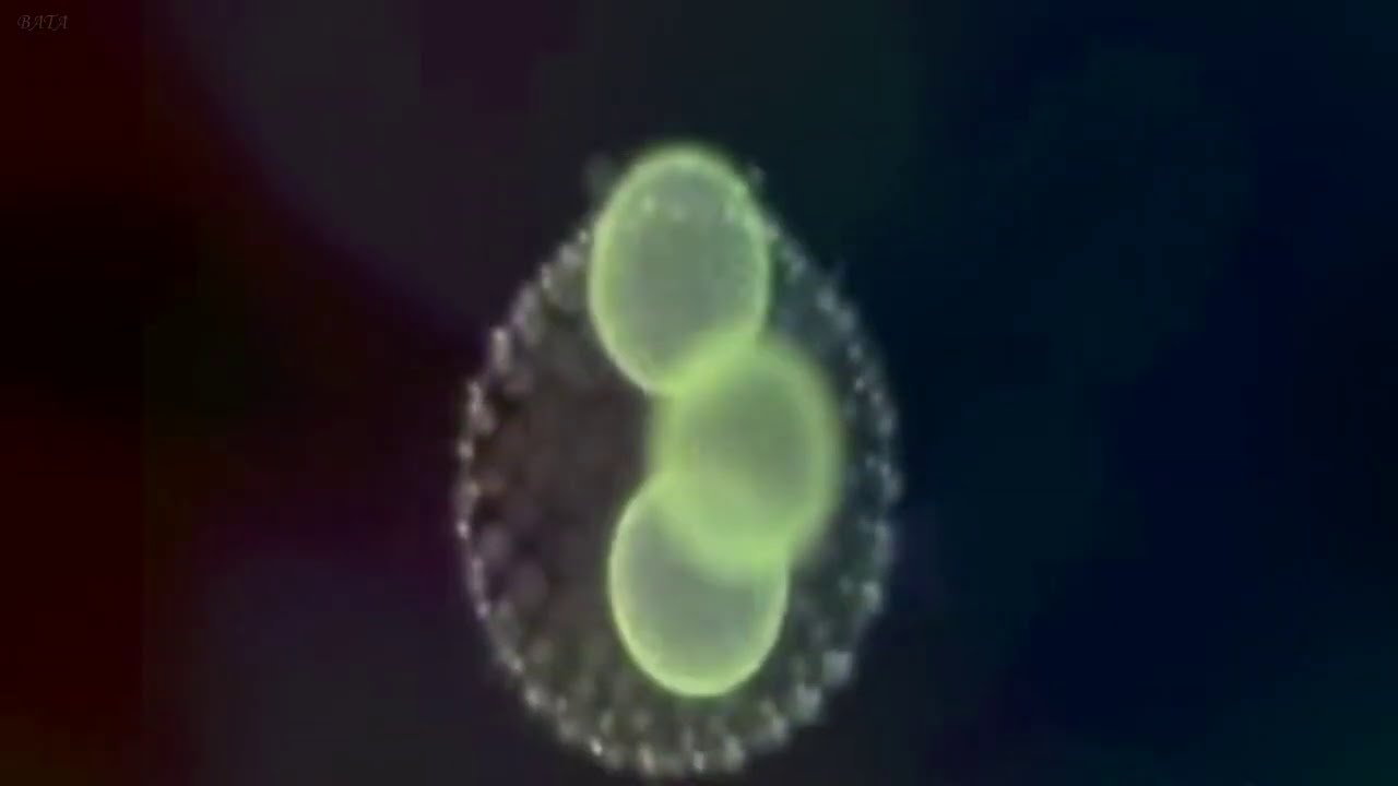 Ed Rush & Optical - Gas mask  ( Video )