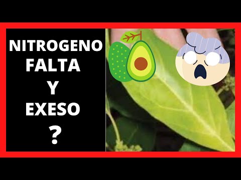 Vídeo: Com corregir la deficiència de nitrogen al sòl