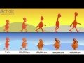 Evolution of the Lumpties and Their Adaptive Journey