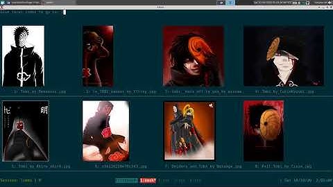 ucollage - Terminal Image Viewer - Linux TUI