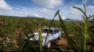 Forza horizon five 1970 DODGE CHALLENGER