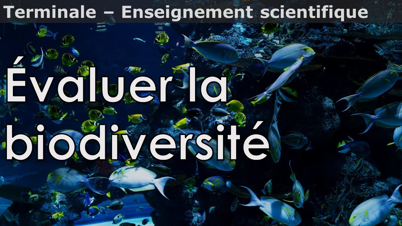 Évaluer la biodiversité - Enseignement scientifique - Terminale - YouTube