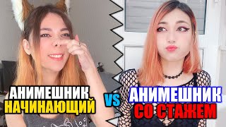 Начинающий Анимешник Vs Анимешник Со Стажем