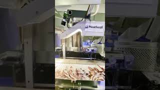 Celebrity Headwall's MV.C VNIR Hyperspectral Imager in action at IPPE 2025 in Atlanta! Net Worth