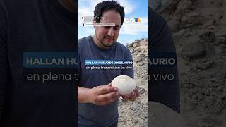 Hallan Huevo De Dinosaurio De 70 Millones De Años Intacto En La Patagonia