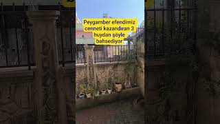 Peygamber Efendimiz Cenneti Kazandıran 3 Kuyudan Şöyle Bahsediyor Şfet