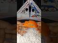 Hunting toy for a orange car #toys #car