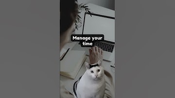 Day 8: Huh Cat Review - The Ultimate Time Management Tool #notion #notiontemplate #templates