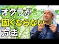 【オクラが固い⁉】やわらかいオクラを作る方法