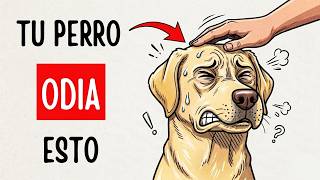 6 Places You Should NEVER Pet Your Dog | And Where You SHOULD
