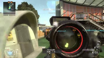 BlackDog239 - Nuketown (Quickscope Cross Map Through House)