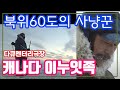 북위60도의 사냥꾼들 캐나다 이누잇족 [추억의 영상] KBS 방송