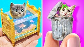 Save CatMap! I Made Secret House For Kitten In A Wardrobe *Best Hacks For Pets* by Cool Tool WOW 22,235 views 13 days ago 1 hour, 1 minute