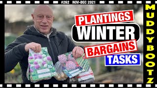 🌻262 🌻 PLANTING SHALLOTS 🌻 WINTER CROPS 🌻 BARGAIN BULBS 🌻