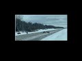 Caught on cam family of lynx cross the road in manitoba