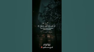 جواب عالمى من الشيخ محمد الليثي - رحمه الله 🤍🤍🌿سورة القيامة