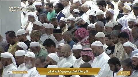 ماتيسر من سورة الزمر لـ فضيلة الشيخ #فيصل_غزاوي من صلاة المغرب ٢٤ شوال ١٤٤٥هـ