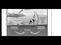Biogeochemical cycles 
