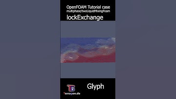 OpenFOAM CFD Tutorial case: lockExchange Glyph - #fluiddynamics #fluidmechanics