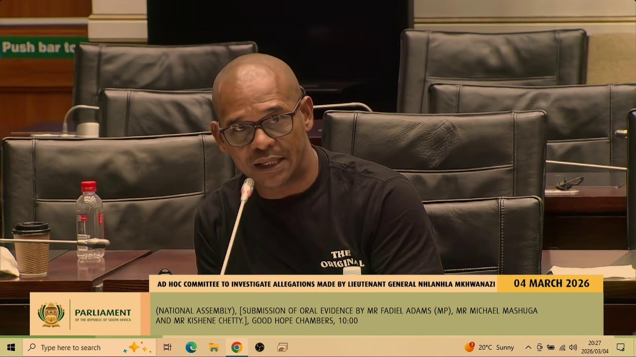 AD Hoc Committee investigates allegations made by LT Mkhwanazi