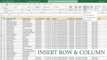 Insert Row and Column in Excel Tagalog Tutorial