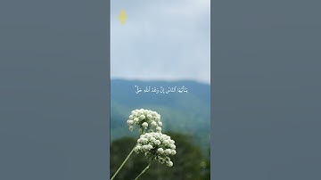 سورة فاطر: الآية 5 #mahiralmuaiqly