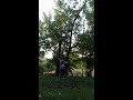 Gymnastics on a nice day