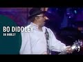 Bo Diddley - Bo Diddley (From Legends of Rock 'n' Roll DVD)