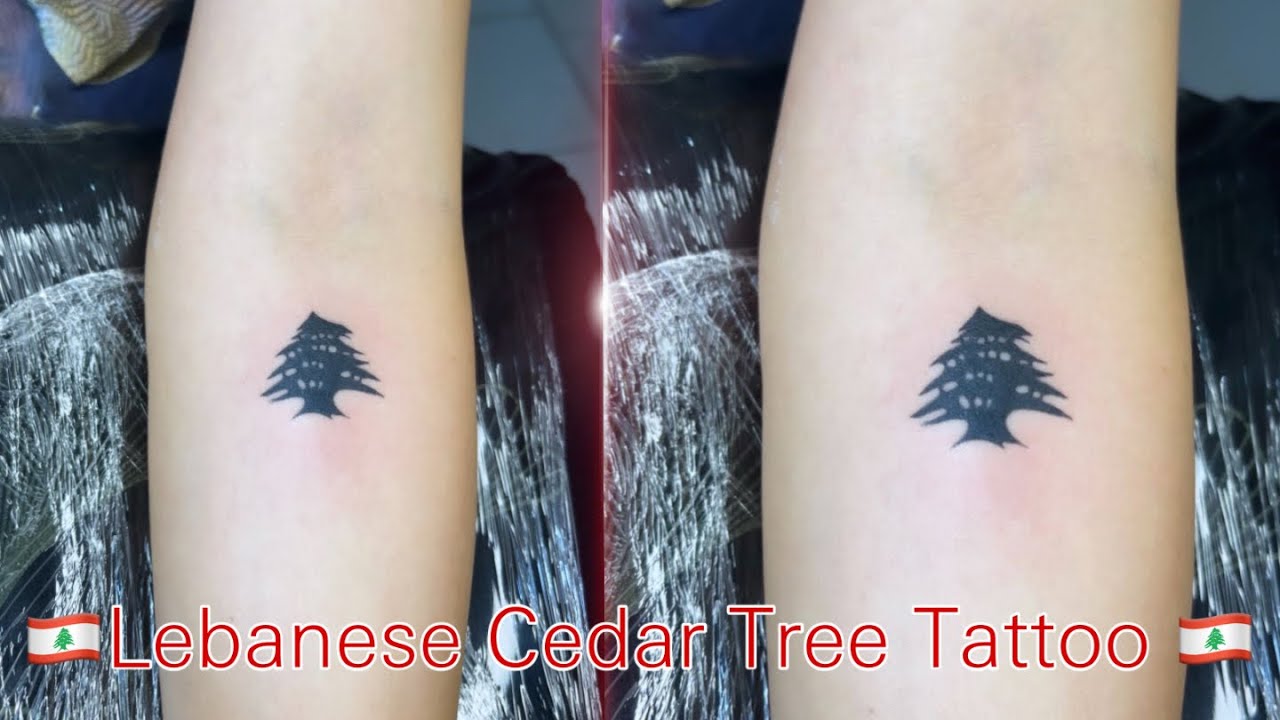 Discover 69 cedar tree tattoo super hot  thtantai2