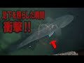 開封動画を撮影中、まさかの巨大魚を発見してしまった！【衝撃】While shooting a video, discovered a huge fish!