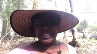 Clearing Bare Land On Alaska Cutting Down Trees And Storing Up Firewood- Clearing Our Off Grid Land