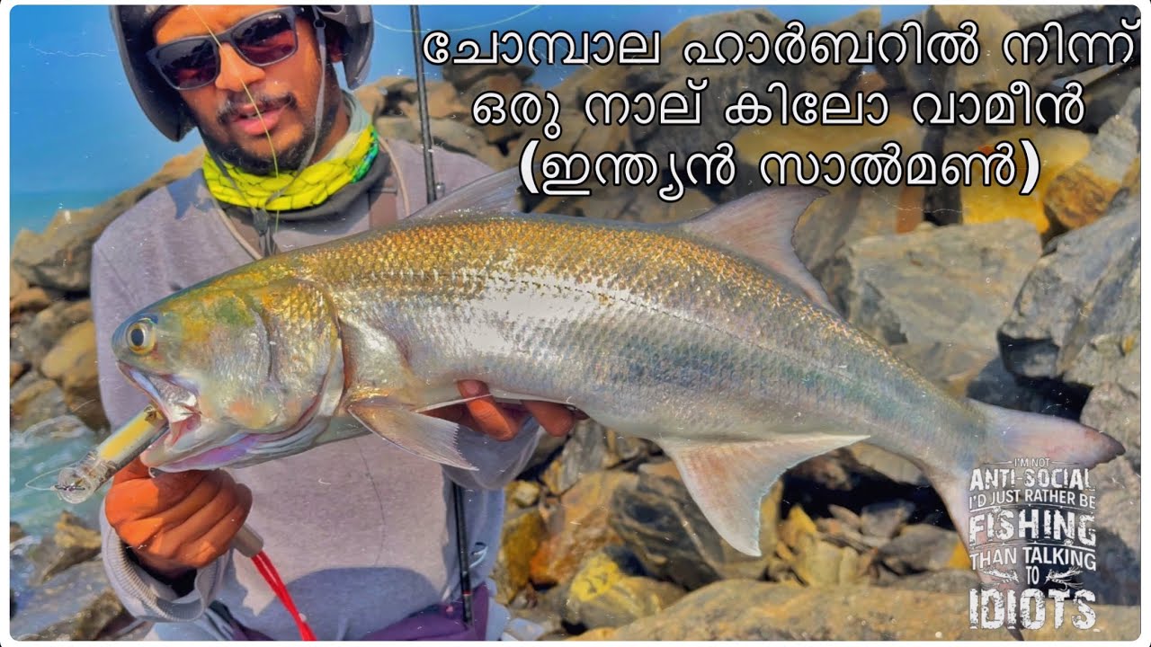 Tackle House Contact Feed Popper | 4 KG Treadfin Salmon from Kerala harbour #tackletips